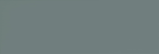 ELG 35X102 LISCIA PINE MATT