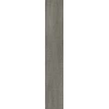Alfalux Arbor CARPINO NAT R 20×120 cm