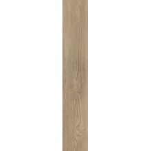 Alfalux Arbor GELSO NAT R 20×120 cm