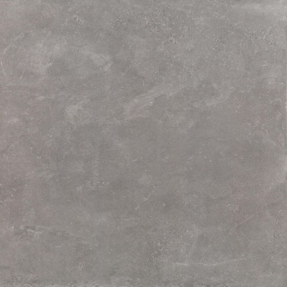 Ceramiche Piemme More Grigio Nat/Ret 60x60 00605A