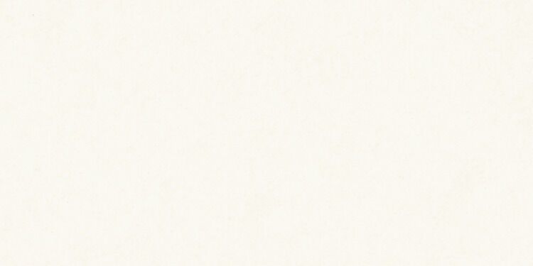 Fmg Marmi Maxfine Thassos Lucidato Sq. 75X37,5 lucidato