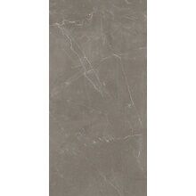 Alfalux Elegance TAUPE LUC R 30×60 cm