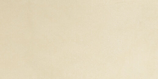Fmg Pietre Trax Beige Natural Sq. 60X30 naturale