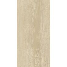 Alfalux Arbor BETULLA RET 60×120 cm
